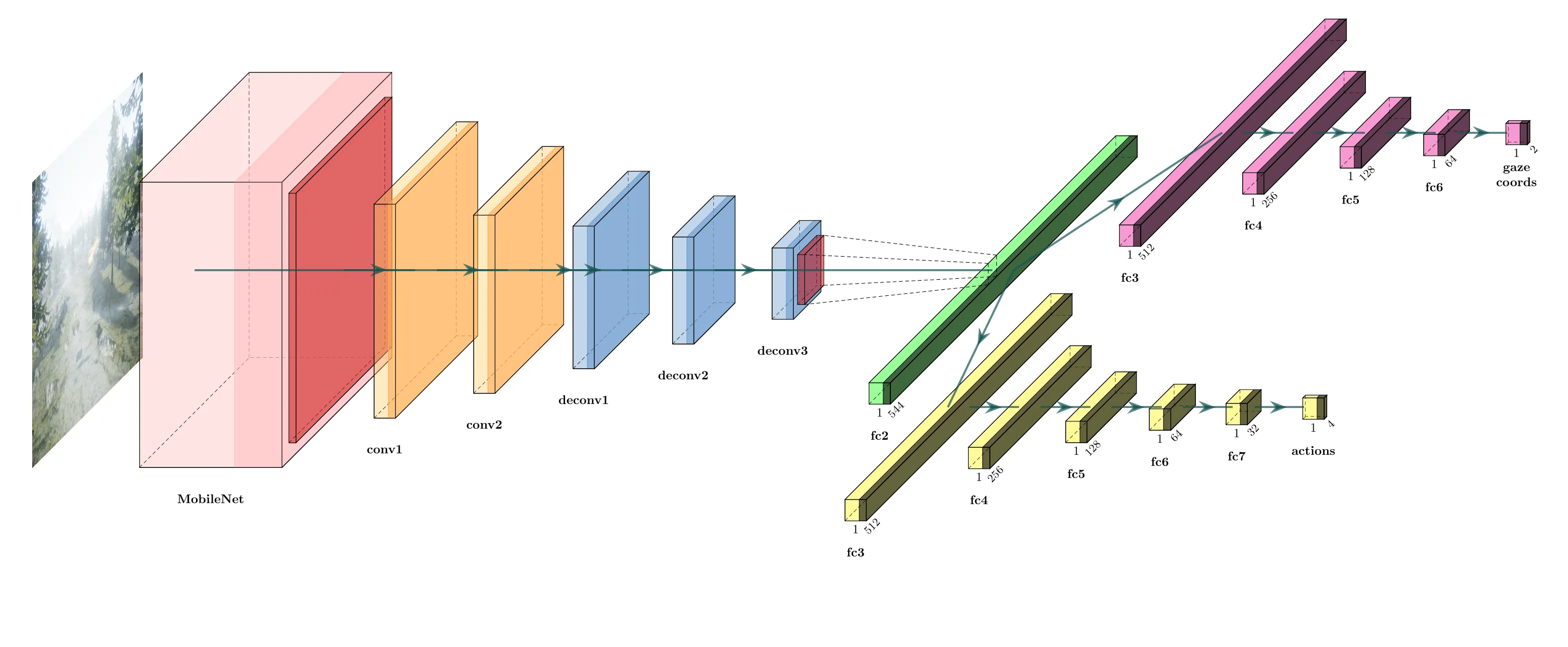 GRIL neural network architecture with a shared image encoder and separate control-command and gaze-coordinate output heads